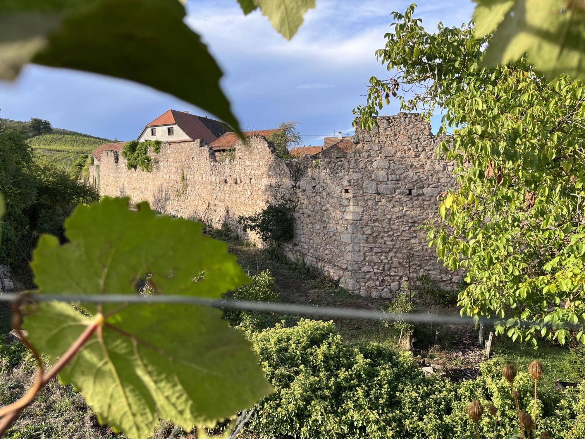 Hotel Le Refuge Du Rempart Dambach Zimmer foto